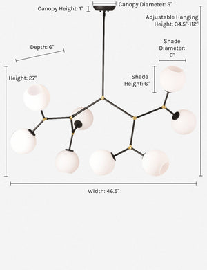 Dimensions on the Bobbi black branching chandelier with glass orb bulbs