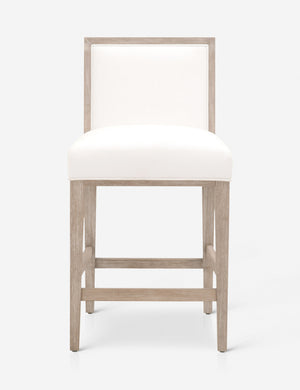 Klaude Counter Stool (Set of 2)