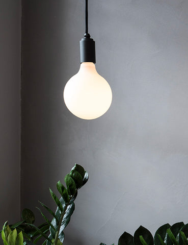 Light Bulbs + Accessories