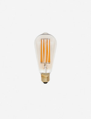 Squirrel Cage 3W LED Bulb (Set of 2) by Tala