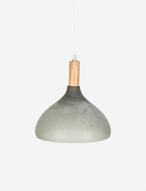 Taylor Pendant Light